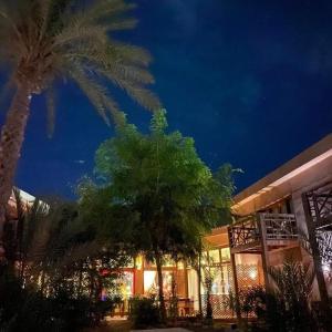Zahrada ubytování Nakhil Inn Nuweiba