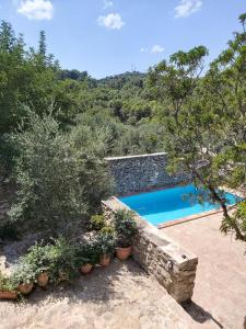 una imagen de una piscina en un jardín en CASA NICOLE Naturaleza, Montañas y Piscina Privada en Alicante, en Carroja