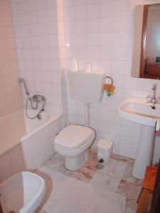 ein Bad mit einem WC und einem Waschbecken in der Unterkunft Apartment Wolf in Lourinhã