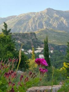 een bloemenveld met een berg op de achtergrond bij PENELOPE 2 in Dhërmi