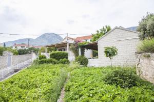 Nespecifikovaný výhled na hory nebo výhled na hory při pohledu z apartmánu