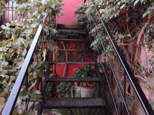una escalera llena de plantas junto a una pared en Departamento Los Sauces en San Rafael
