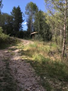un camino de tierra que conduce a una cabaña en el bosque en Las Zarinas 4 en Trapiche