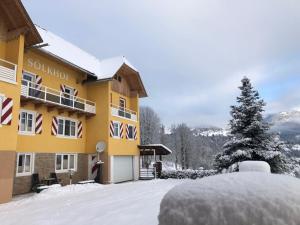 Appart Sölkhof im Winter