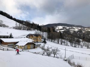 Appart Sölkhof im Winter
