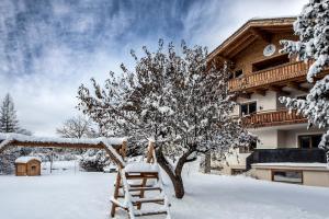 Alpine View Apartments v zimě