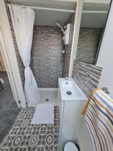 a small bathroom with a toilet and a sink at Self contained annexe in pretty Suffolk village in Bury Saint Edmunds
