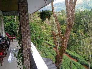 Green Tea View外面的花园