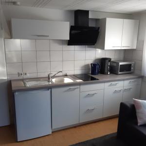 a kitchen with a sink and a microwave at Ferienwohnung Irmgard in Plein