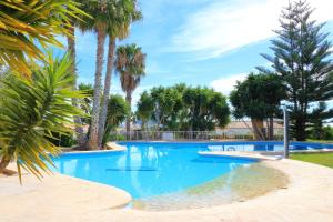 een groot blauw zwembad met palmbomen bij Casa El Oasis in Calpe +29 foto's