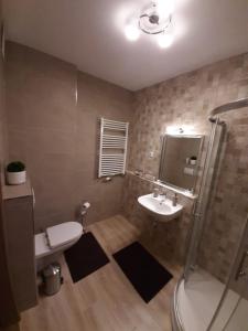 y baño con aseo, lavabo y ducha. en Rozsa55 apartment 2 rooms en Budapest