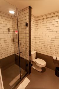 a bathroom with a toilet and a shower at ibis Caucaia Porto do Pecem in Caucaia