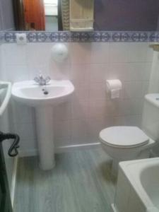 ein Badezimmer mit einem weißen Waschbecken und einem WC in der Unterkunft Albergue La Posada Cangas de Onis in Cangas de Onís