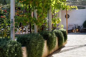 Zahrada ubytování Villa Luna