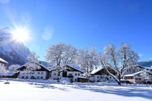 Príroda v okolí apartmánu