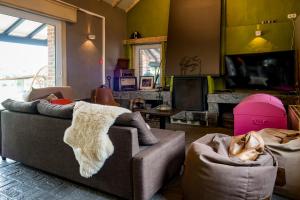 a living room with a couch and a dog laying on a chair at Een prachtige en luxueuze vakantiewoning dat is Hof Leskensdaele in Geraardsbergen