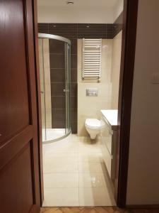 Un baño con ducha, inodoro y lavabo. en Zakamarki, en Cracovia