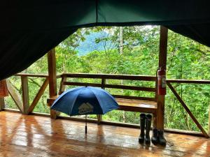 Gallery image of Tami Lodge in Providencia