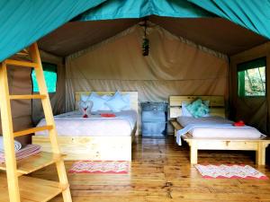 Gallery image of Tami Lodge in Providencia
