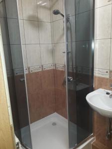 prysznic ze szklanymi drzwiami obok umywalki w obiekcie Zielona zagroda w mieście Przyborów