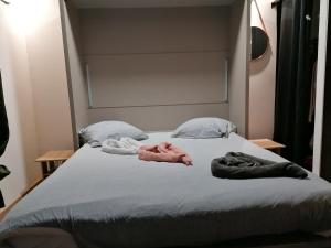 Säng eller sängar i ett rum på Le spa des canut