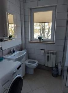 uma casa de banho com um lavatório, um WC e uma janela. em Mieszkanie u Tomka INPIW02 em Piwniczna