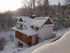 uma casa coberta de neve com árvores ao fundo em 1950wisla Dom w górach em Wisla