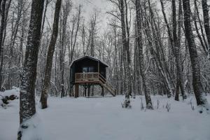Hekso treehouse om vinteren