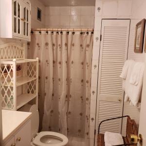 a bathroom with a shower curtain and a toilet at Sapphire Village Condos in St Thomas