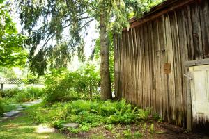 an old wooden building with a tree next to it at Black Walnut Bed and Breakfast in Interlaken