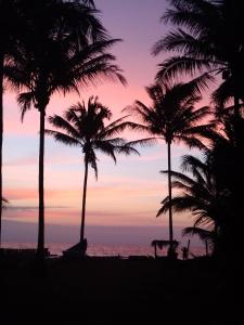 a group of palm trees on a beach at sunset at tierrabrava-hospedaje in Cojimíes