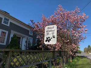 znak przed domem z kwitnącym drzewem w obiekcie Black Walnut Bed and Breakfast w mieście Interlaken
