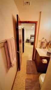 a bathroom with a sink and a toilet and a mirror at Near to OUHSC Hospitals-Garage Studio in Oklahoma City