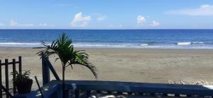a view of the beach with a palm tree on the beach at Bella's Beach Resort Apartment 8 in Bauang