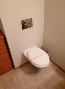 a white toilet in a corner of a room at Rail Trail Retreat Loft in Alexandra