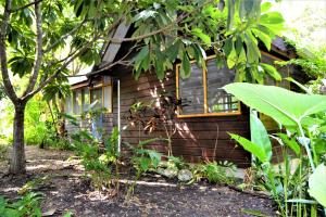 Foto dalla galleria di Hummingbird Rest a fully equipped cabana in subtropic garden a San Ignacio