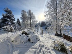 a group of people skiing down a snow covered slope at Quiet business flat or vacation home in Bad Urach in Bad Urach