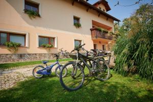 deux vélos garés dans l'herbe devant un bâtiment dans l'établissement Tourist farm Kolar, à Ljubno