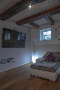 TV a/nebo společenská místnost v ubytování Luxusferienhaus Isernhagen