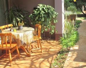a patio with a table and chairs and plants at Lutea Guest House in Mokopane
