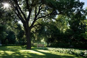 Zahrada ubytování Villa Lattanzi