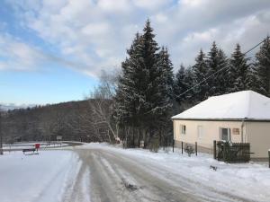 śnieżna droga z domem i drzewami w obiekcie 21 és fél Fenyő Vendégház w mieście Matraszentlaszlo