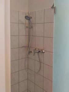 eine Dusche mit Duschkopf in einem Badezimmer in der Unterkunft Mola Land-Kajüten in Breege