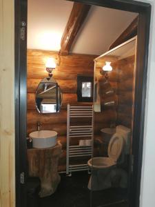 Un baño con dos lavabos y un inodoro. en Cabanele silvania 1, en Statjunea Borsa