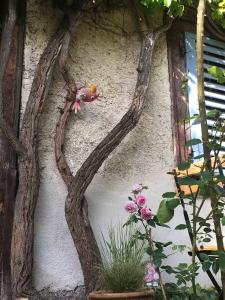 eine Baumbranchen-Kunst an der Seite eines Gebäudes in der Unterkunft B&B de charme La Maison des 5 Temps in Ferrette