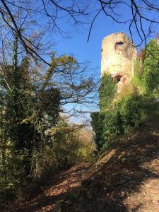 Fotografie z fotogalerie ubytování B&B de charme La Maison des 5 Temps v destinaci Ferrette