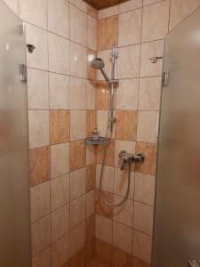 a shower with a shower head in a bathroom at Restaurant a penzion Pod Draci skalou in Karlštejn