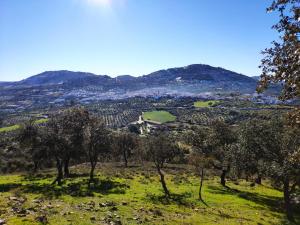 Blick auf ein Tal mit Bäumen im Vordergrund in der Unterkunft Casa Rural El Trepador Azul in Cabeza la Vaca