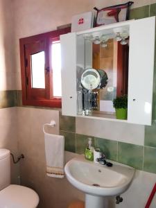 a bathroom with a sink and a toilet and a mirror at Apartamento Fray Eloy de 1 habitacion in Guadalupe