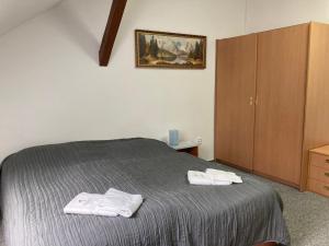 Penzion Grasel في Nové Syrovice: غرفة نوم عليها سرير وفوط